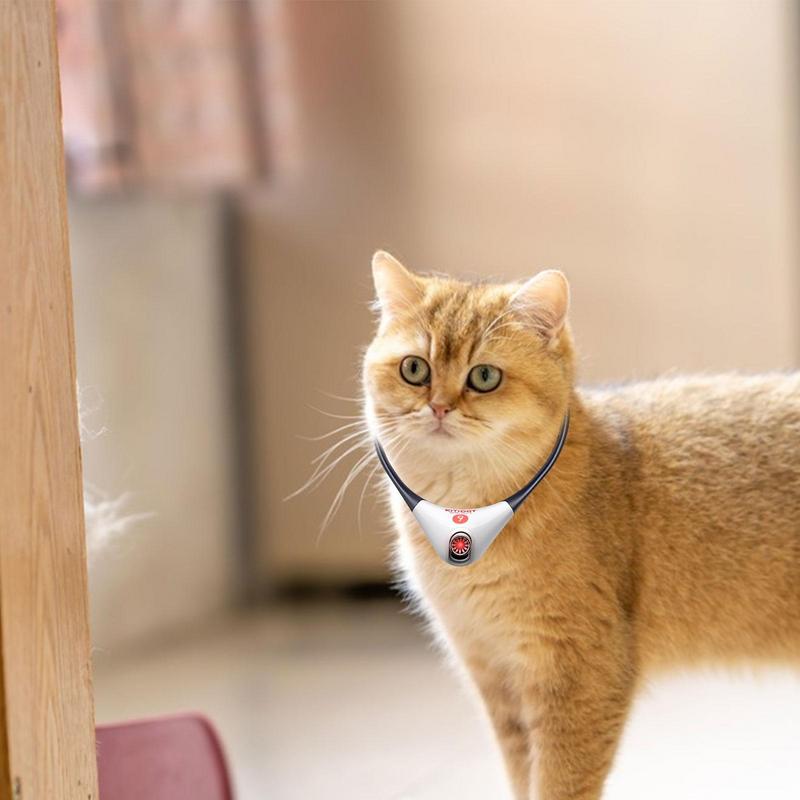 Hands Free Cat Laser Collar