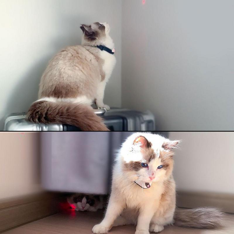 Hands Free Cat Laser Collar